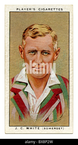 1934 cigarette card with portrait of cricket player of Jack White of Somerset and England Stock Photo