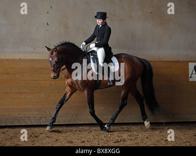 Dressage Horse and woman rider in indoor school Stock Photo