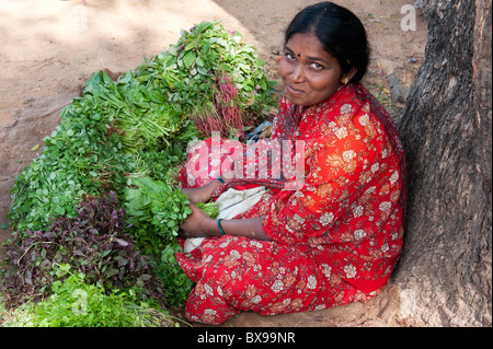 India woman selling bunches of fresh herbs and spinach at an Indian market. Andhra Pradesh India Stock Photo