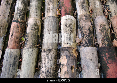 Weathered roof tile background Stock Photo