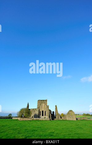 Hore Abbey, Cashel, County Tipperary, Munster, Republic of Ireland Stock Photo