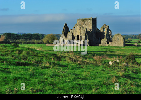 Hore Abbey, Cashel, County Tipperary, Munster, Republic of Ireland Stock Photo