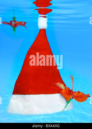 Santa hat floating in a tropical swimming pool with red hibiscus flowers Stock Photo