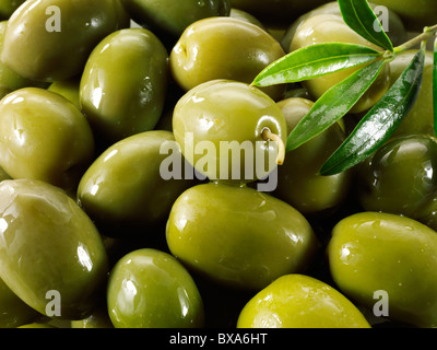 Fresh green queen olives photos, pictures & images.  Stock Photo