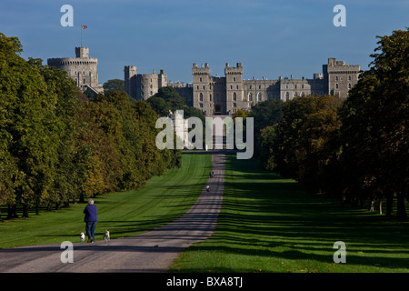 Windsor Castle Viewed from the 'Long Walk', Windsor, Berkshire, England Stock Photo