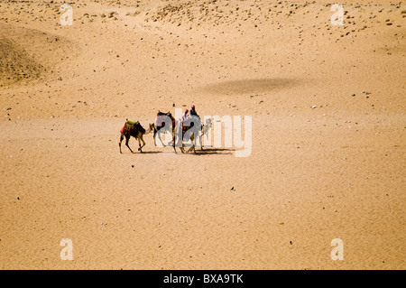 Riding camels in the sands of Egypt. Stock Photo