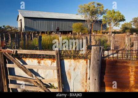 Old woolshed in Bladensburg National Park, Winton  in outback Queensland Stock Photo