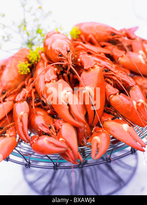 Crayfish on serving tray Stock Photo