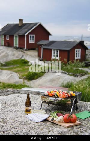 Barbecue grill with vegetables on rock with houses in background Stock Photo