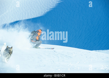 Husky running down hill after skier Stock Photo