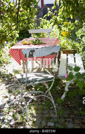 Table with chairs in garden Stock Photo