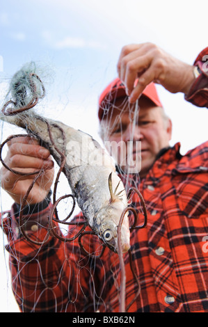 Fisherman taking out fish from fishing net Stock Photo