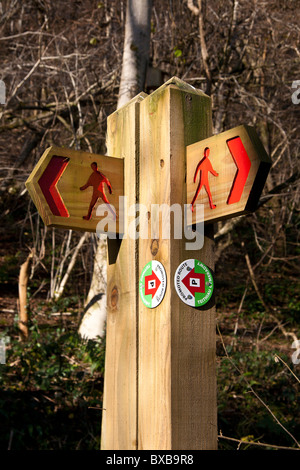 Way-markers for the various sign-posted walks in The Wenallt beech woods near Rhiwbina Cardiff Stock Photo