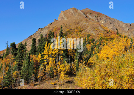 Igloo Mountain, Denali National Park, Alaska Stock Photo