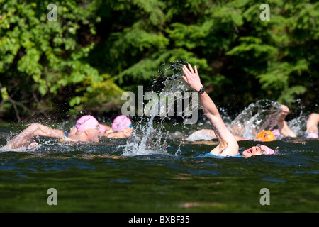 Swimmers in triathlon race in lake, USA Stock Photo
