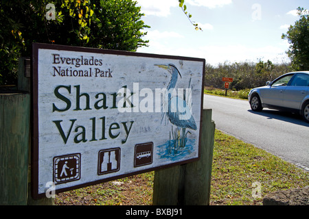 Everglades National Park Shark Valley, Florida everglades. Stock Photo