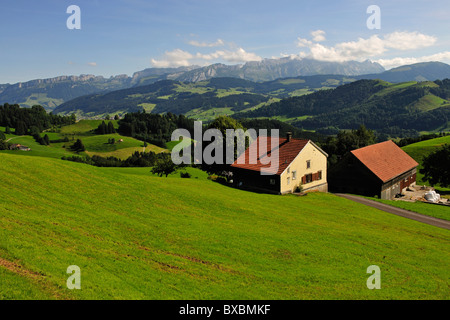 Typical hilly landscape in the canton of Appenzell with farmhouses in front of the Alpstein Mountains, Canton of Appenzell Stock Photo