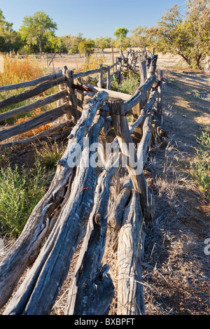 Old fences at the woolshed in Bladensburg National Park, Winton Stock Photo