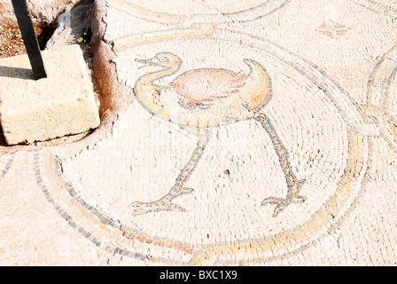 The Palace of the ‘Bird Mosaic’ a 14.5 x 16m floor of a villa dating to the Byzantine period, Stock Photo