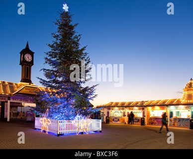 Christmas tree on promenade at entrance to Brighton Pier, East Sussex, UK, evening, winter