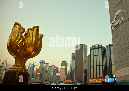 Golden Bauhinia The Bauhinia flower is Hong Kong's emblem. Which is why the Chinese Government gifted Hong Kong with this Gold Stock Photo