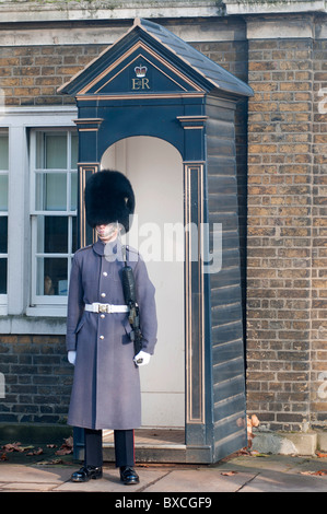 Queens Guard in long grey tunic coat and Busby hat with fixed bayonet standing guard outside century box in London, England, UK Stock Photo