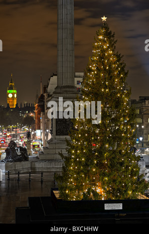 Norwegian Christmas Tree, Trafalgar Square, London, England, UK, given each year by the people of Oslo. Selective focus on tree. Stock Photo