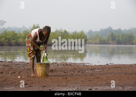 The Sierra Leone River Runs Through The Town Of Port Loko Sierra Leone