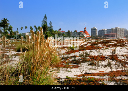 The wild but beautiful beach near the Hotel Del Coronado, Coronado Island, San Diego, California, USA. Stock Photo