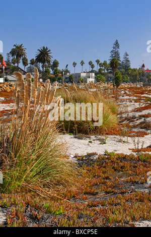 The wild but beautiful beach near the Hotel Del Coronado, Coronado Island, San Diego, California, USA. Stock Photo