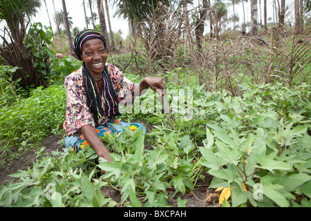 A woman (Ms. Isatu Koroma) works in her potato field in Masiaka, Sierra Leone, West Africa.