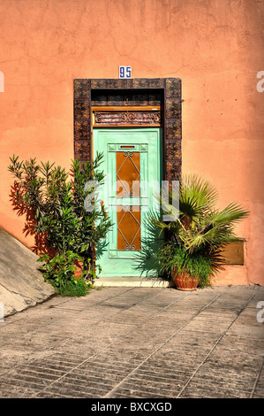 Old door with plant in Marrakesh in Africa Stock Photo
