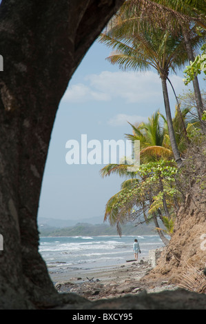 Eroding shoreline at beach Costa Rica Stock Photo