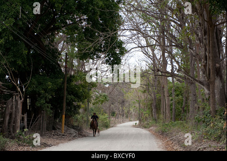 Treed rural road in the tropical forest of Costa Rica with a person riding a horse and two dogs Stock Photo
