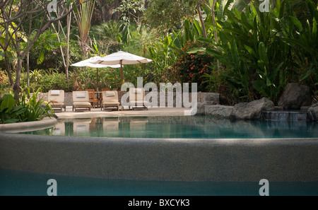 Four lounge chairs under a sun umbrella, in the jungle next to the reflective swimming pool Stock Photo