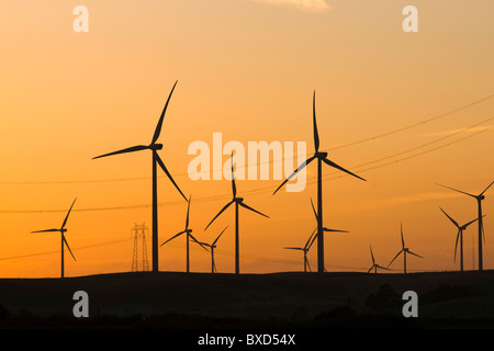Wind turbines and power transmission lines at sunset near San Francisco Stock Photo
