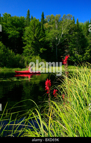 Kayaker in red boat on Big Brook,  Adirondack Park, NY, USA, with focus on grasses. Stock Photo