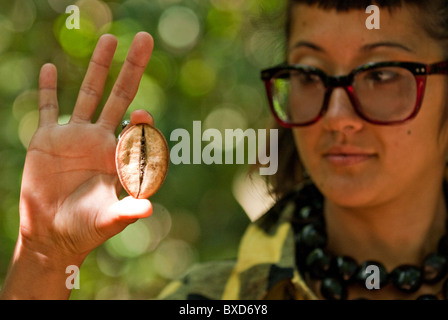 A young woman holds the seed to a relative of the African Baobab Tree. Stock Photo