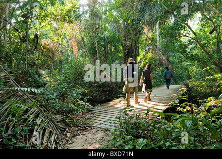 A man and woman walk through the amazon rainforest during the mid morning. Stock Photo
