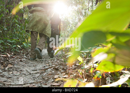 A man and woman walk through the amazon rainforest  during the mid morning. Stock Photo