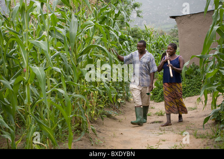 Mrs. Stefanie Aloys and her husband Deus Matei inspect their corn fields in Iringa, Tanzania, East Africa. Stock Photo