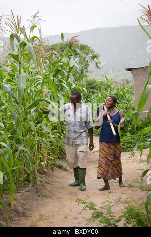 Mrs. Stefanie Aloys and her husband Deus Matei inspect their corn fields in Iringa, Tanzania, East Africa. Stock Photo
