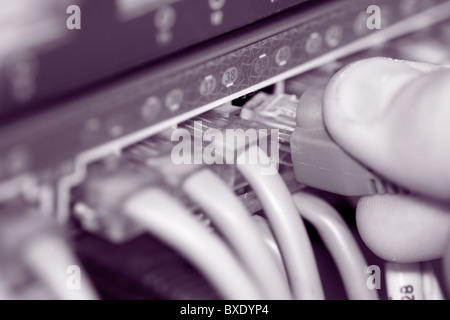 Hub with internet cables & fiber optic cables Stock Photo