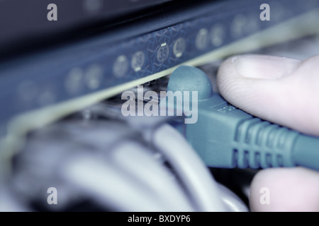 Hub with internet cables & fiber optic cables Stock Photo