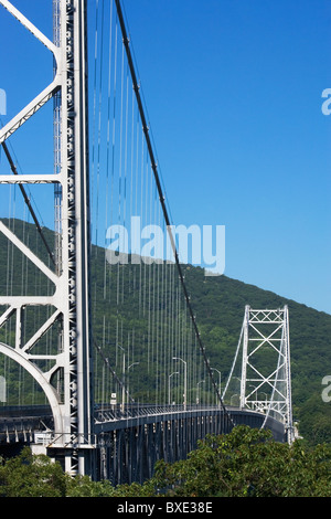 Cable bridge surrounded by trees Stock Photo