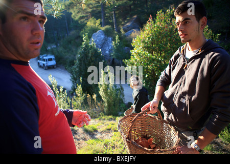 Mushroom pickers Els Ports Park Catalonia Spain Stock Photo