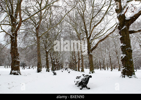 Green Park after a heavy snowfall in London, UK on December 18th, 2010. Stock Photo