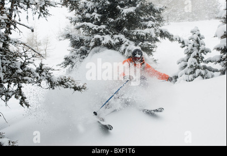 Free skier skiing in deep powder snow amid snowy trees in the forests of Zillertall, Austria. Stock Photo