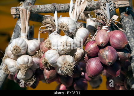 Market plaits of onions and garlic hanging to dry Stock Photo