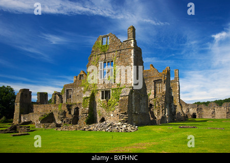 Neath Abbey ruins, Neath, South Wales, UK Stock Photo